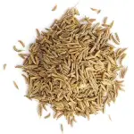 Cumin Seeds