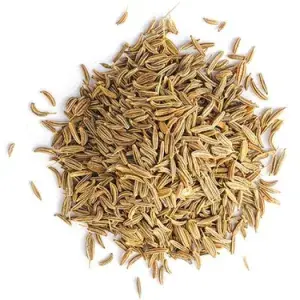 Cumin Seeds