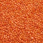 Red Lentils