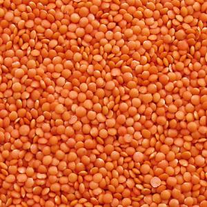 Red Lentils