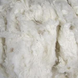 Organic Raw Cotton Fiber